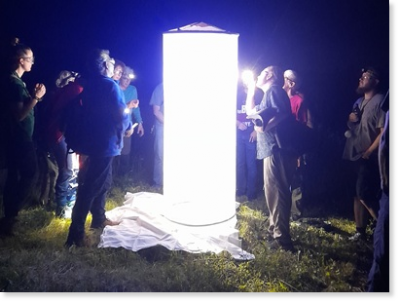 Teilnehmer*innen an einem Leuchtturm, der die Nachtfalter anzieht